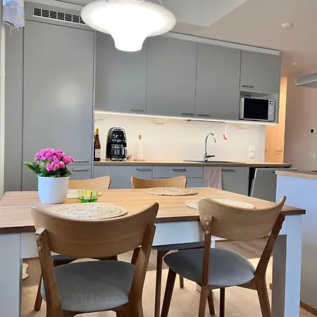 Casa Leinikki - Brand New Rovaniemi