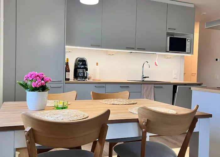 Casa Leinikki - Brand New 罗瓦涅米